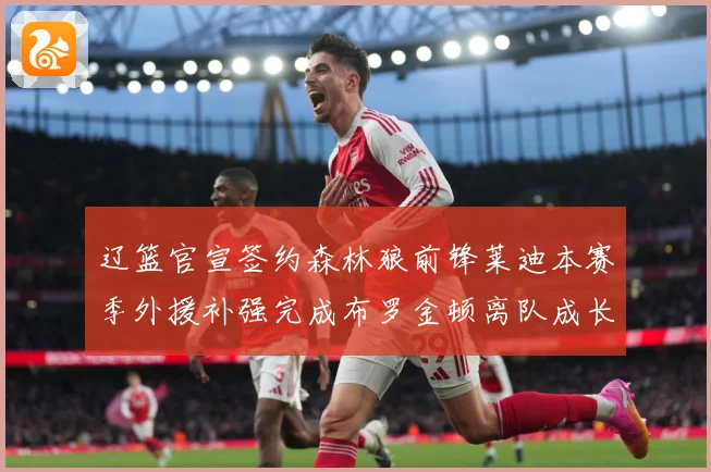辽篮官宣签约森林狼前锋莱迪本赛季外援补强完成布罗金顿离队成长观察：最新赛事动态与深度分析